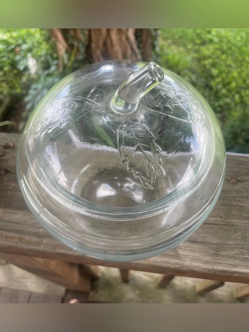 Vintage Clear Class Apple Canister Cookie or Candy Jar